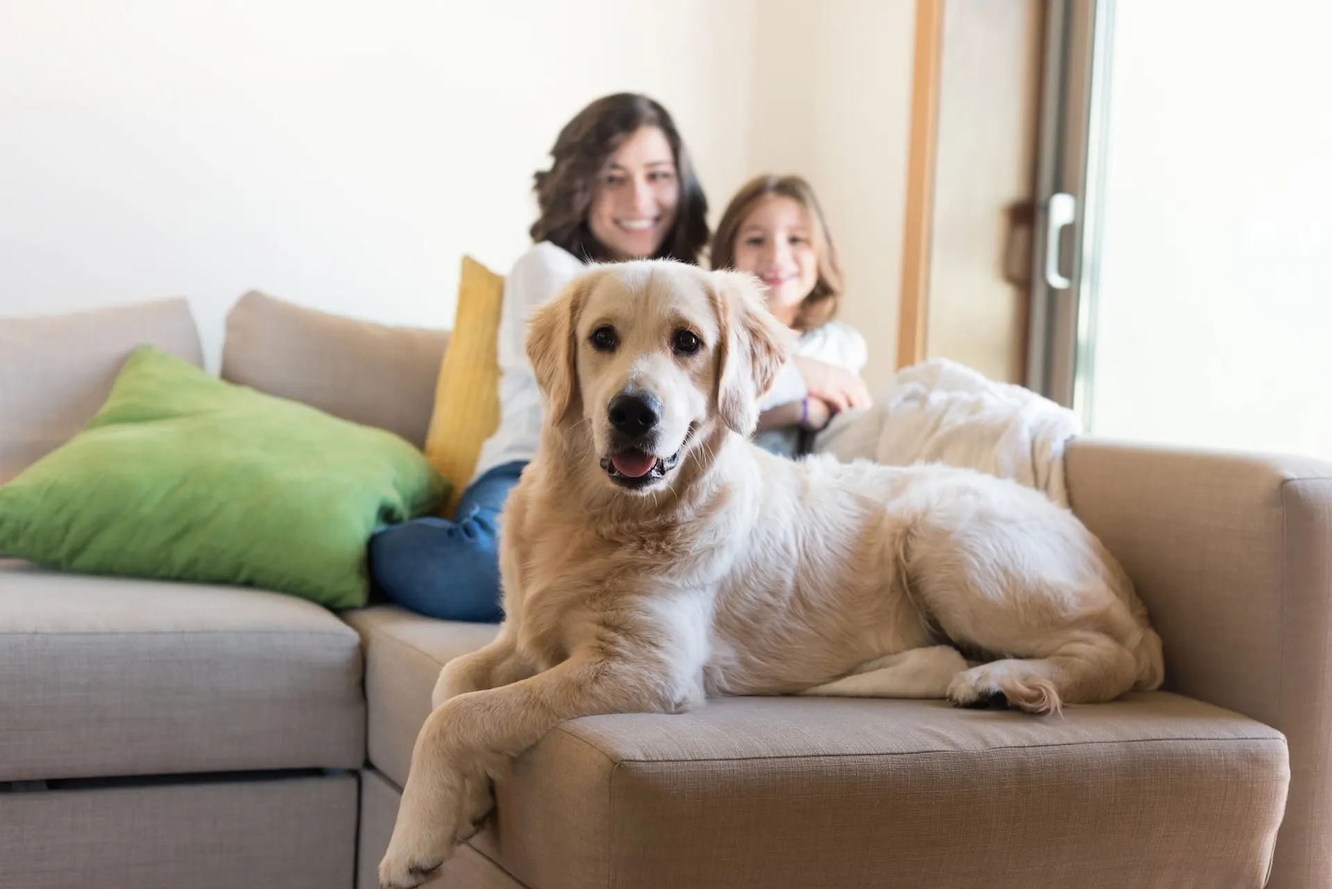 Perro Golden Retriever acostado en un sofá frente a una mujer y una niña sonrientes